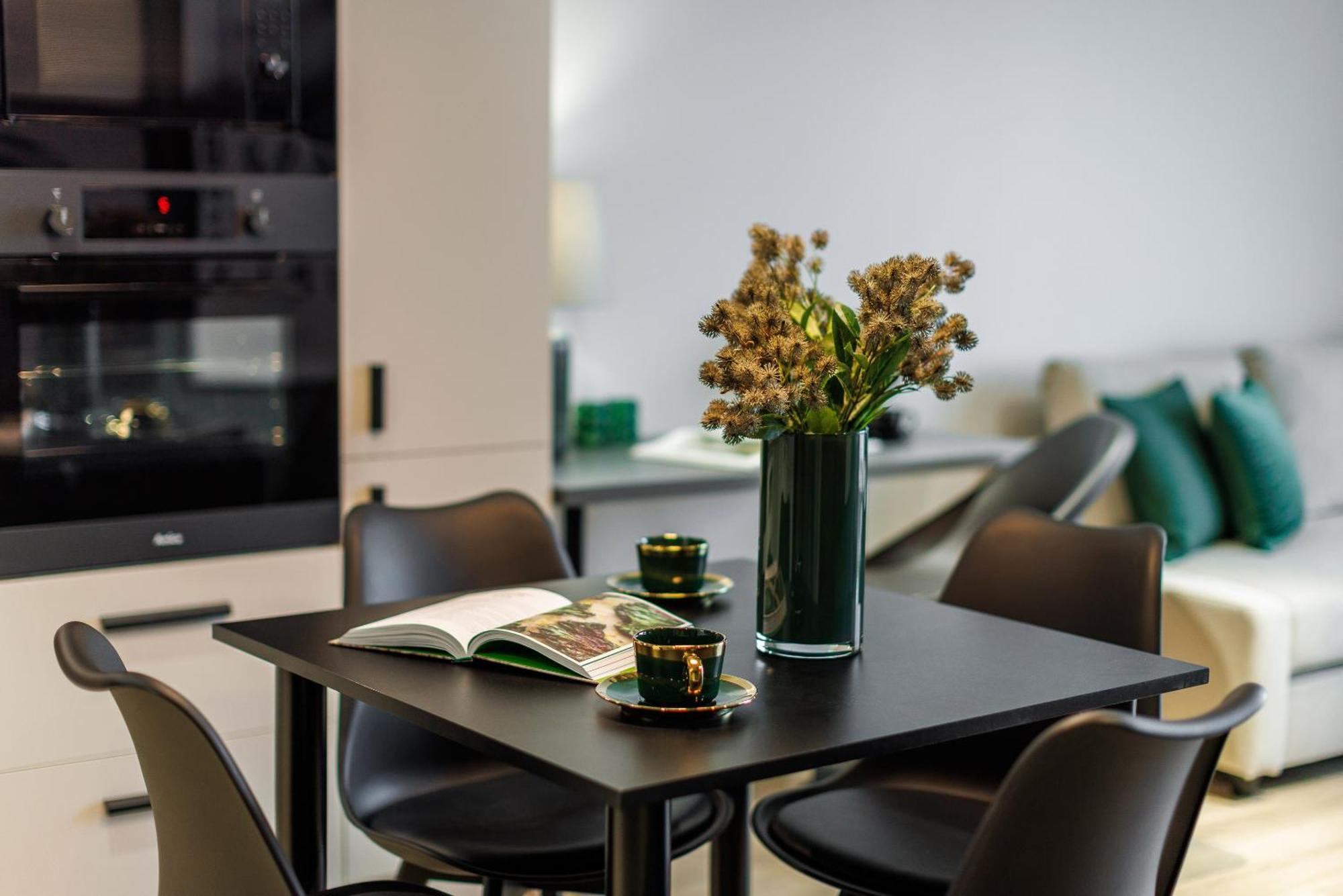 Apartment Emihouse Krakovska Rzeszów